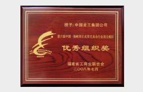 集团优秀公司组织奖